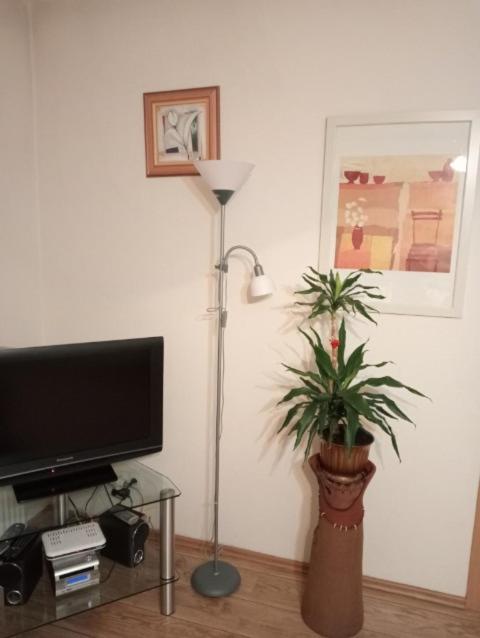 Apartament Stroma 4 Zakopane Exteriér fotografie